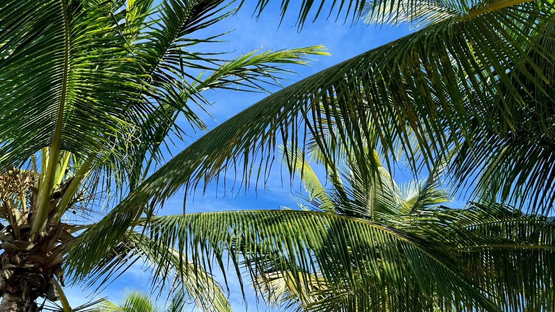 Tatil Evi Les Jardins De Joyce Villa Le Moule