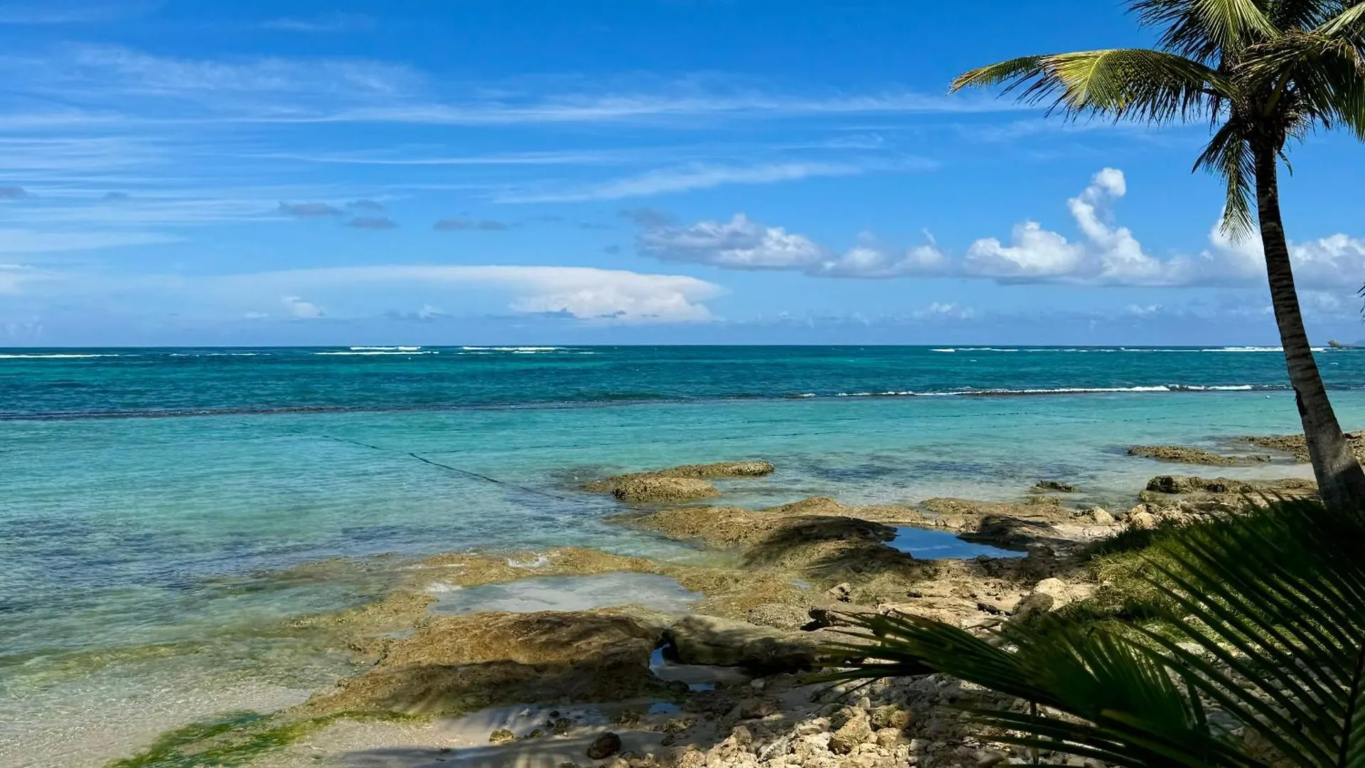 Les Jardins De Joyce Villa Le Moule Guadeloupe