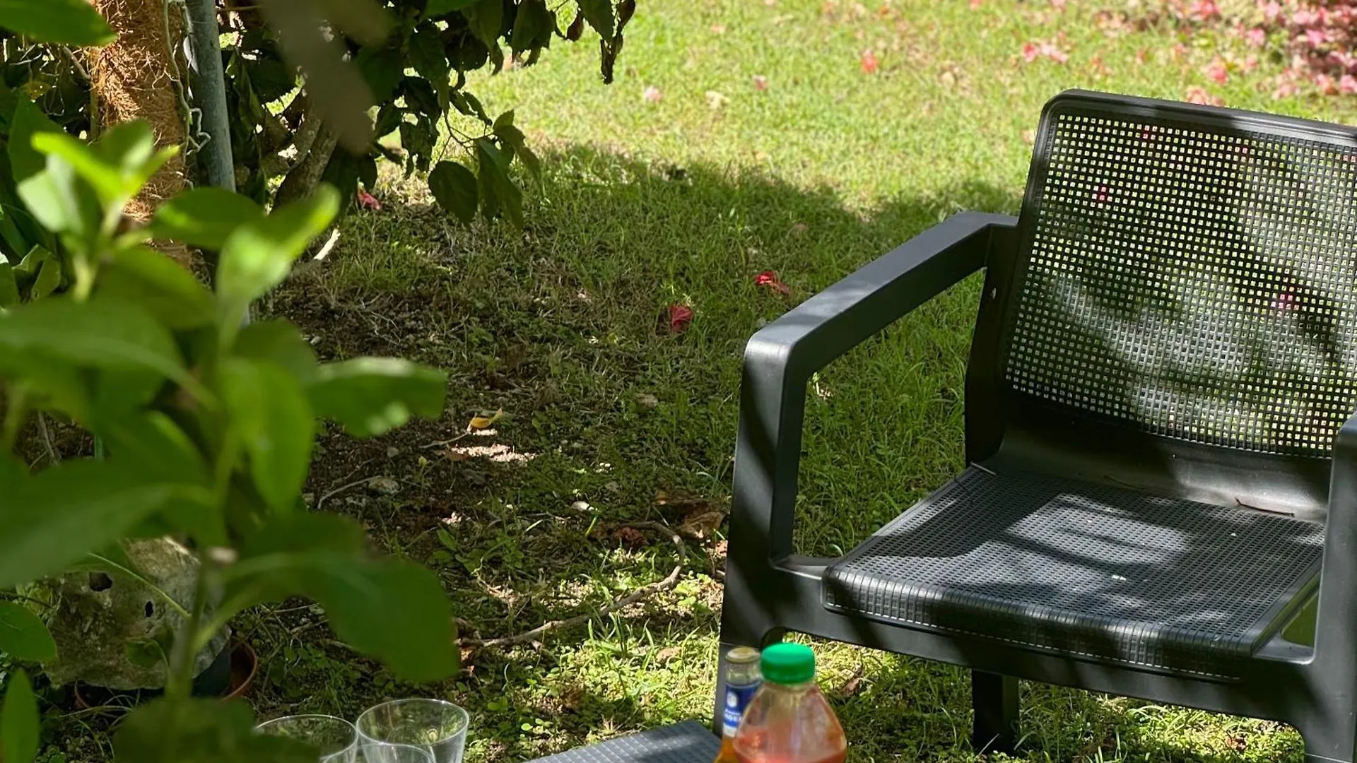 Les Jardins De Joyce Villa Le Moule Holiday home