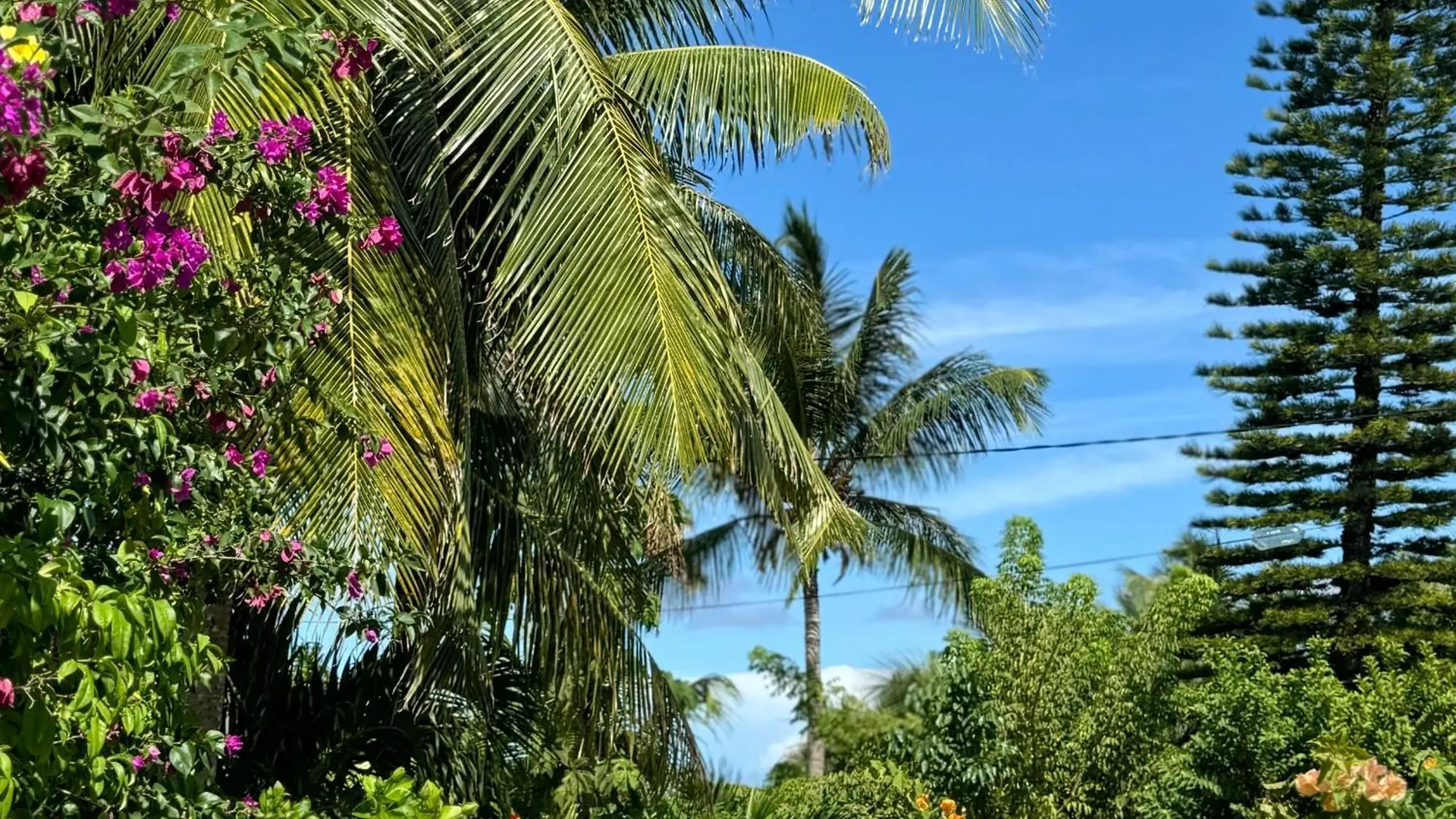 Les Jardins De Joyce Villa Le Moule